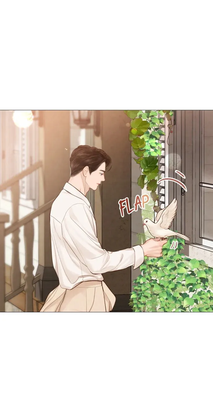 Cry, or Better Yet, Beg Chapter 52 page 37 - 