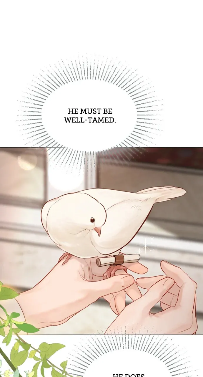 Cry, or Better Yet, Beg Chapter 52 page 38 - 