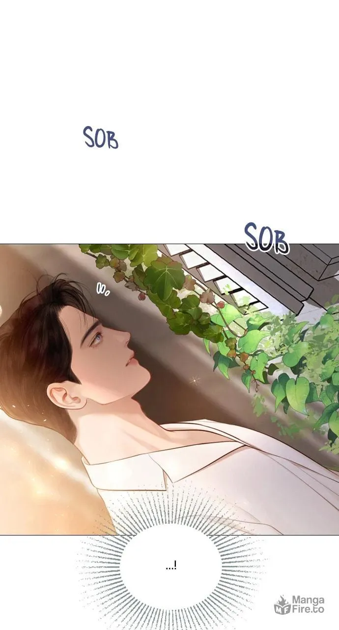 Cry, or Better Yet, Beg Chapter 52 page 42 - 