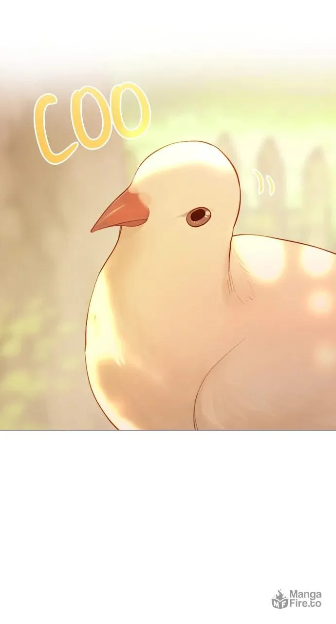Cry, or Better Yet, Beg Chapter 53 page 95 - 