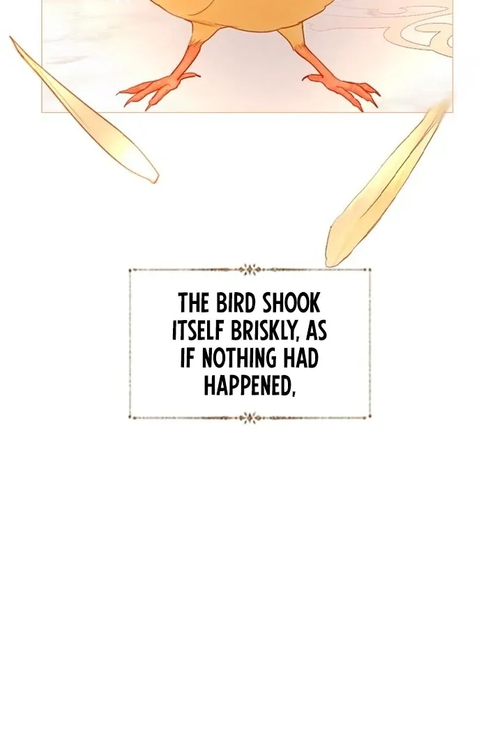 Cry, or Better Yet, Beg Chapter 59 page 47 - 