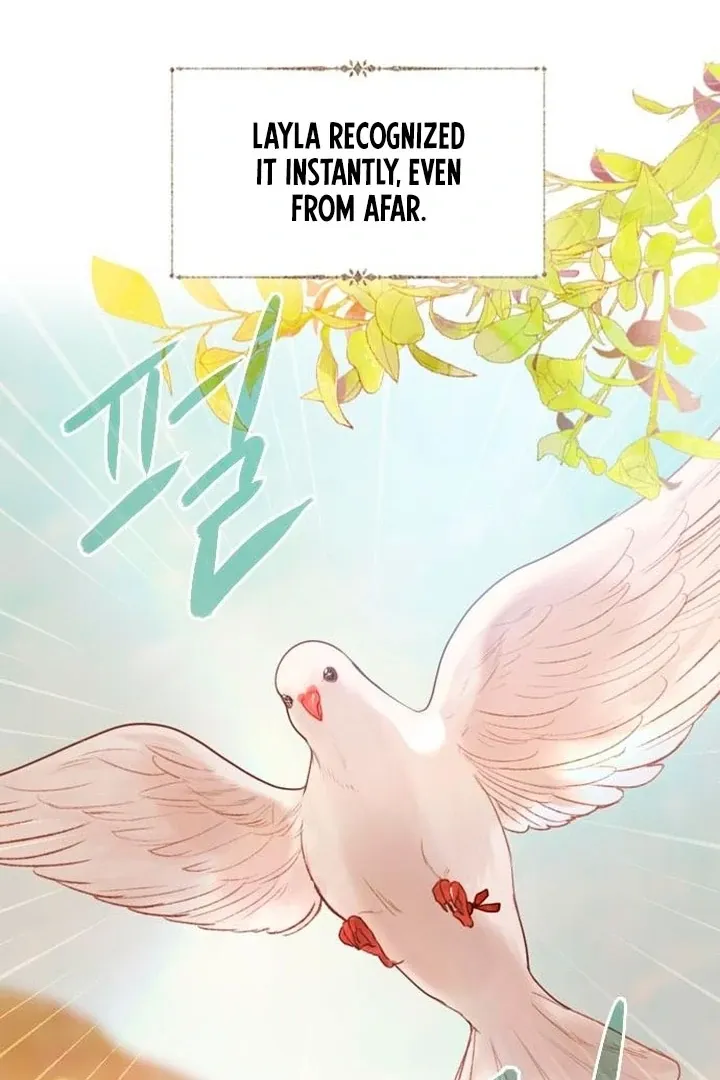 Cry, or Better Yet, Beg Chapter 61 page 74 - 