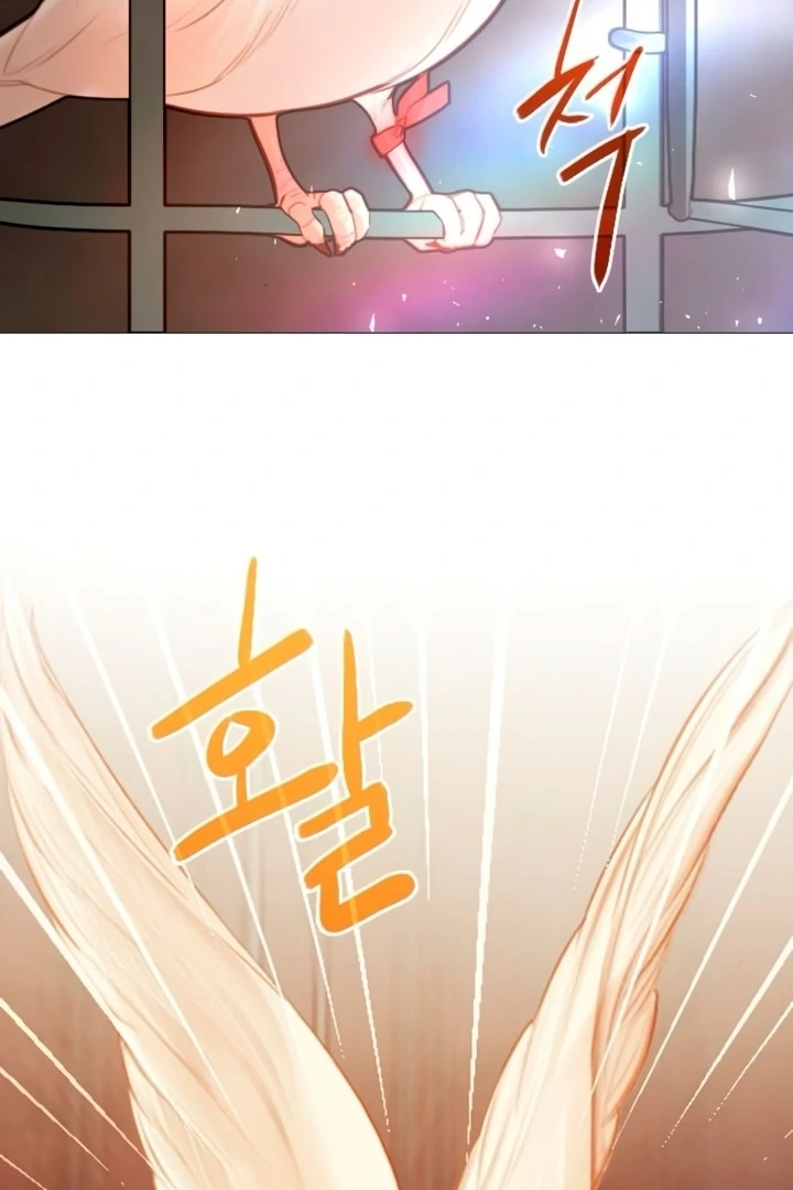 Cry, or Better Yet, Beg Chapter 73 page 81 - 