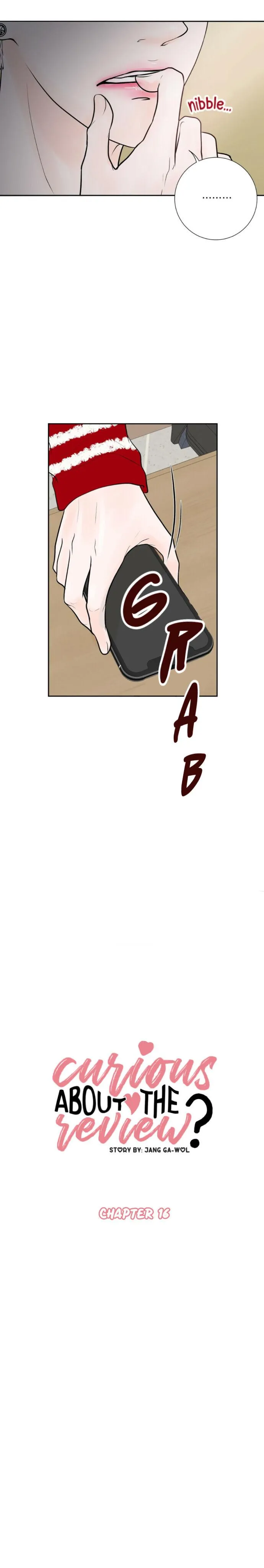 Curious about the Review? Chapter 16 page 4 - 