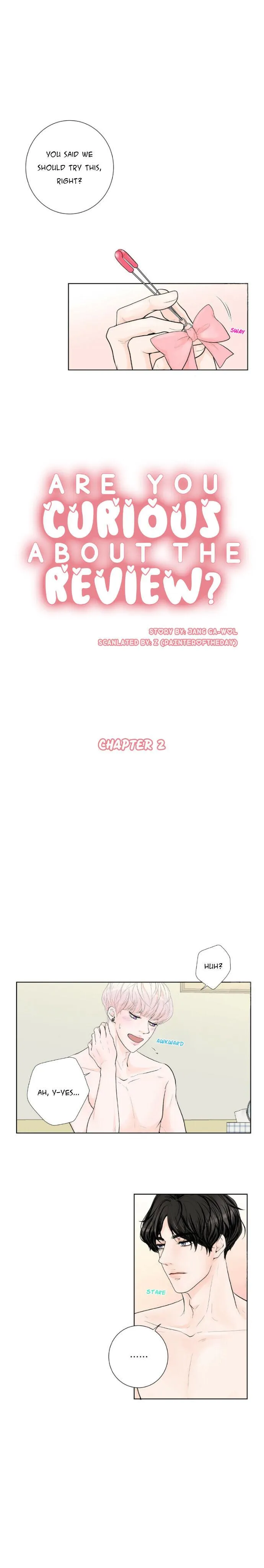 Curious about the Review? Chapter 2 page 3 - 