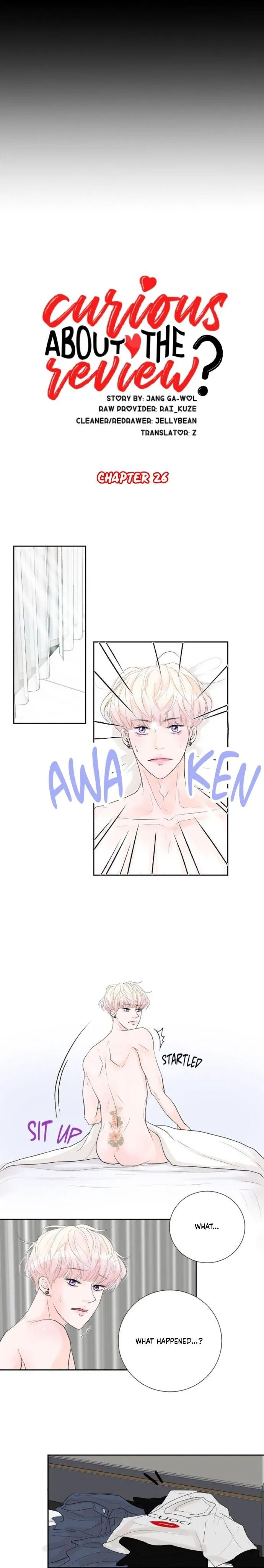Curious about the Review? Chapter 26 page 5 - 