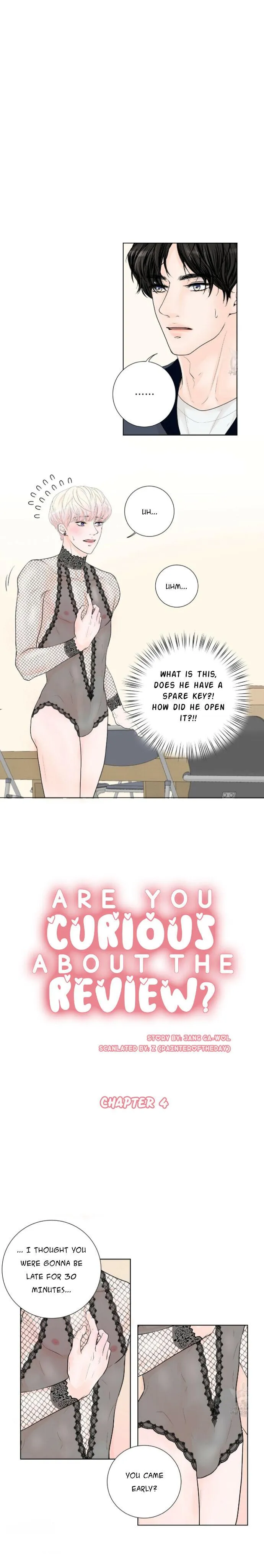 Curious about the Review? Chapter 4 page 3 - 