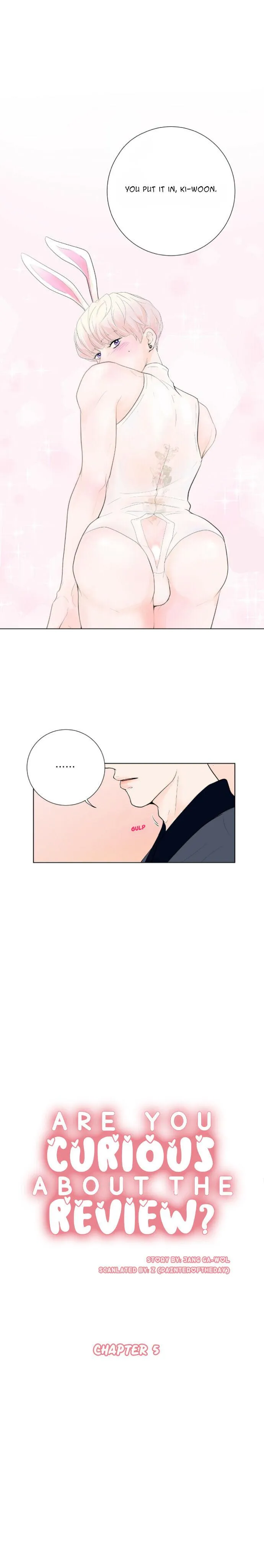 Curious about the Review? Chapter 5 page 3 - 