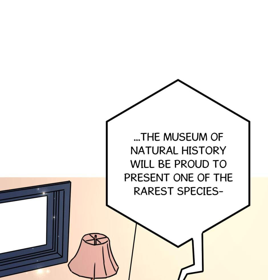 Curious Case of the Ring Brothers Chapter 26 page 1 - 