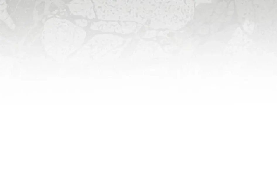 Curse of the Saintess Chapter 23 page 31 - 