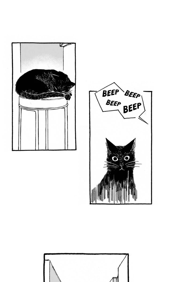 Curveball and Splitter Chapter 17 page 2 - 