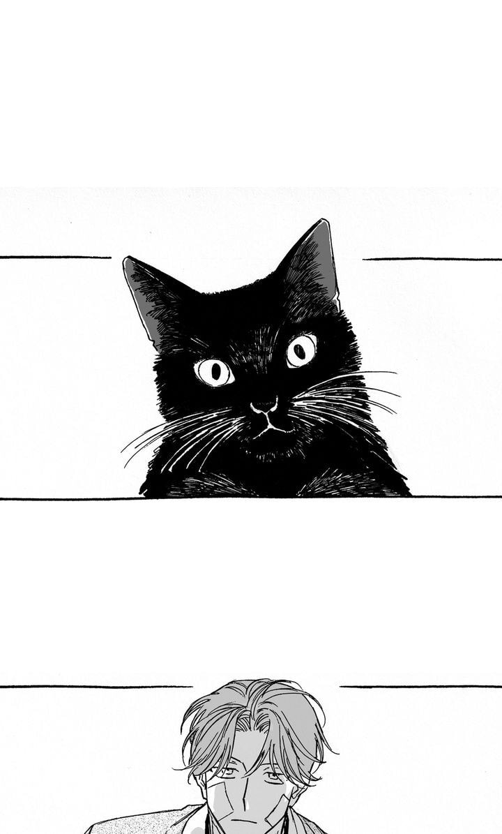 Curveball and Splitter Chapter 3.1 page 37 - 