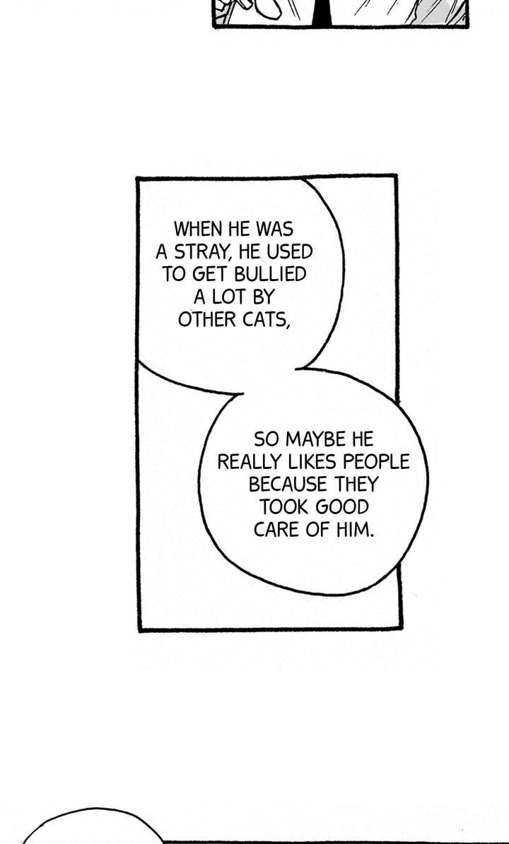Curveball and Splitter Chapter 3.1 page 47 - 