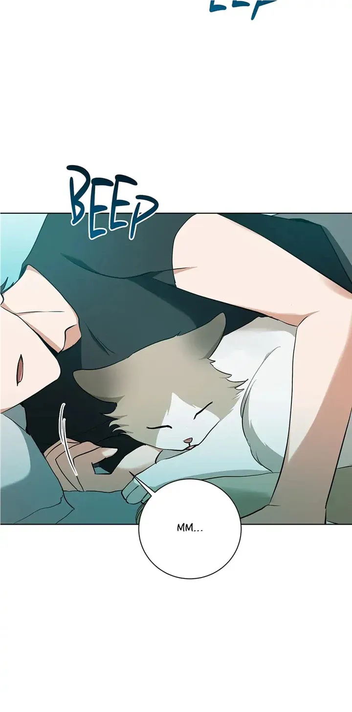 D:AZE Chapter 27 page 2 - 