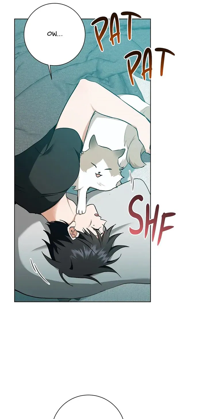 D:AZE Chapter 27 page 3 - 
