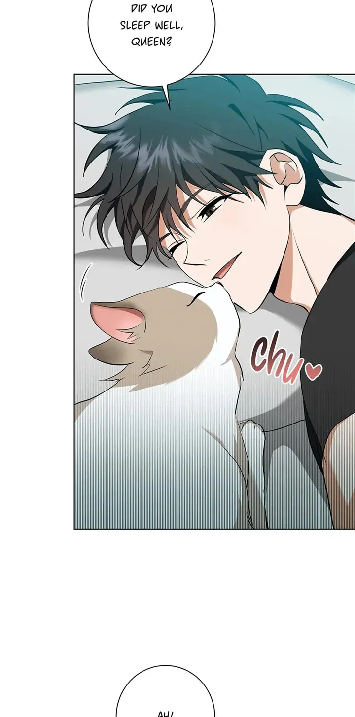 D:AZE Chapter 27 page 4 - 