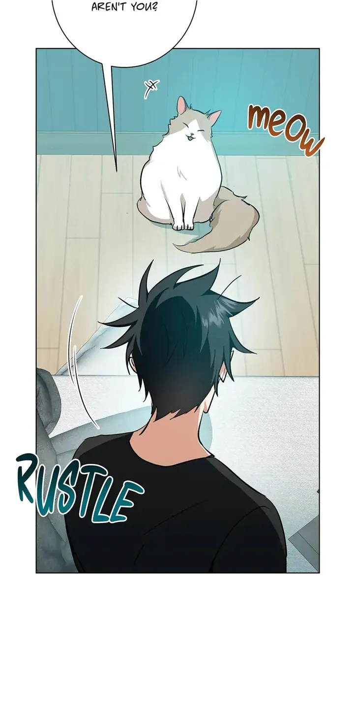 D:AZE Chapter 27 page 6 - 