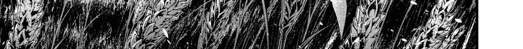 D.Gray-man Chapter 222 page 14 - 