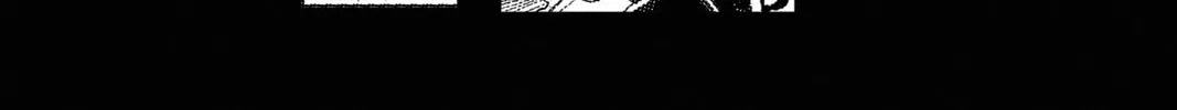 D.Gray-man Chapter 222 page 4 - 
