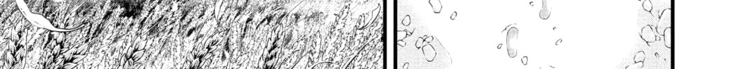 D.Gray-man Chapter 236 page 38 - 