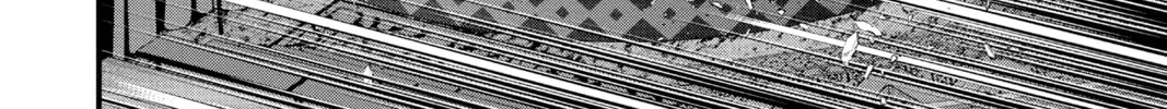 D.Gray-man Chapter 241 page 14 - 