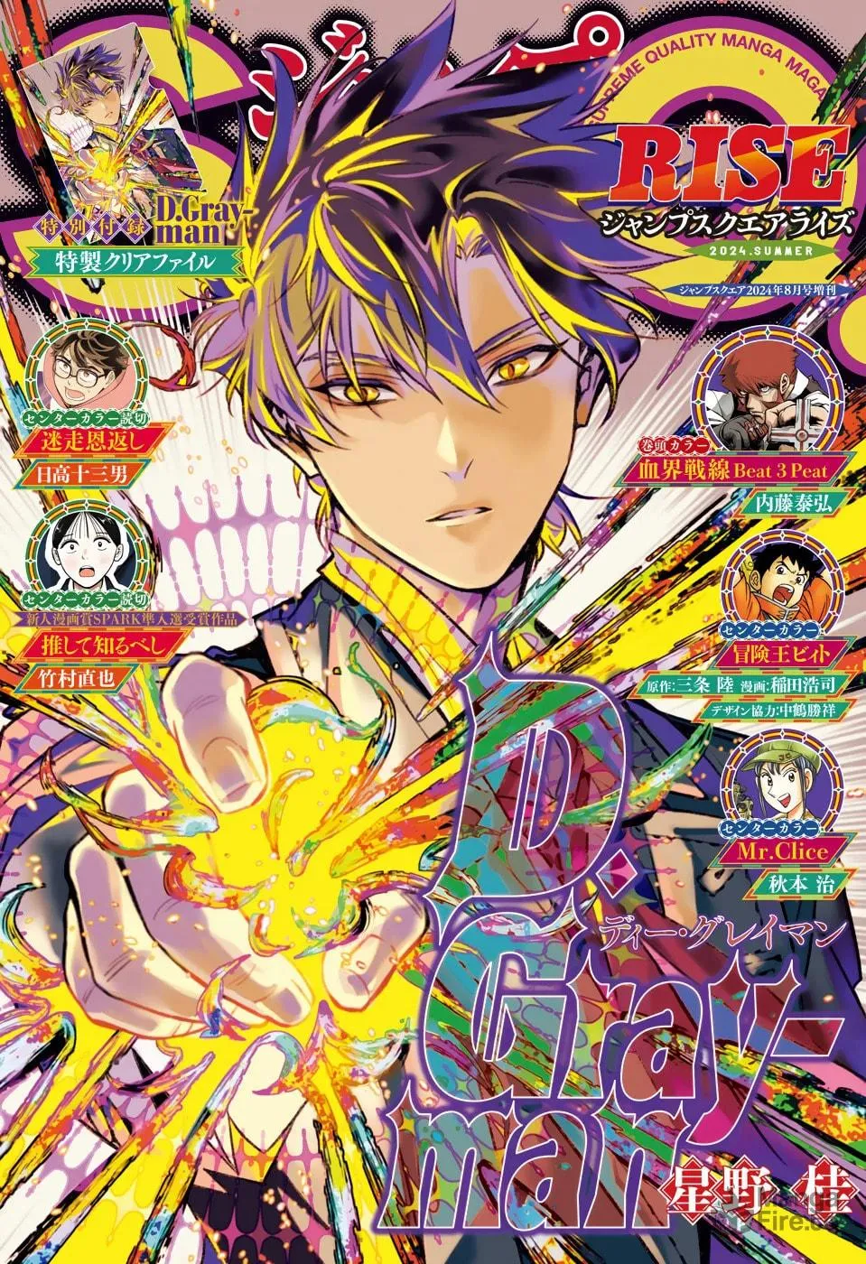 D.Gray-man Chapter 252 page 3 - 