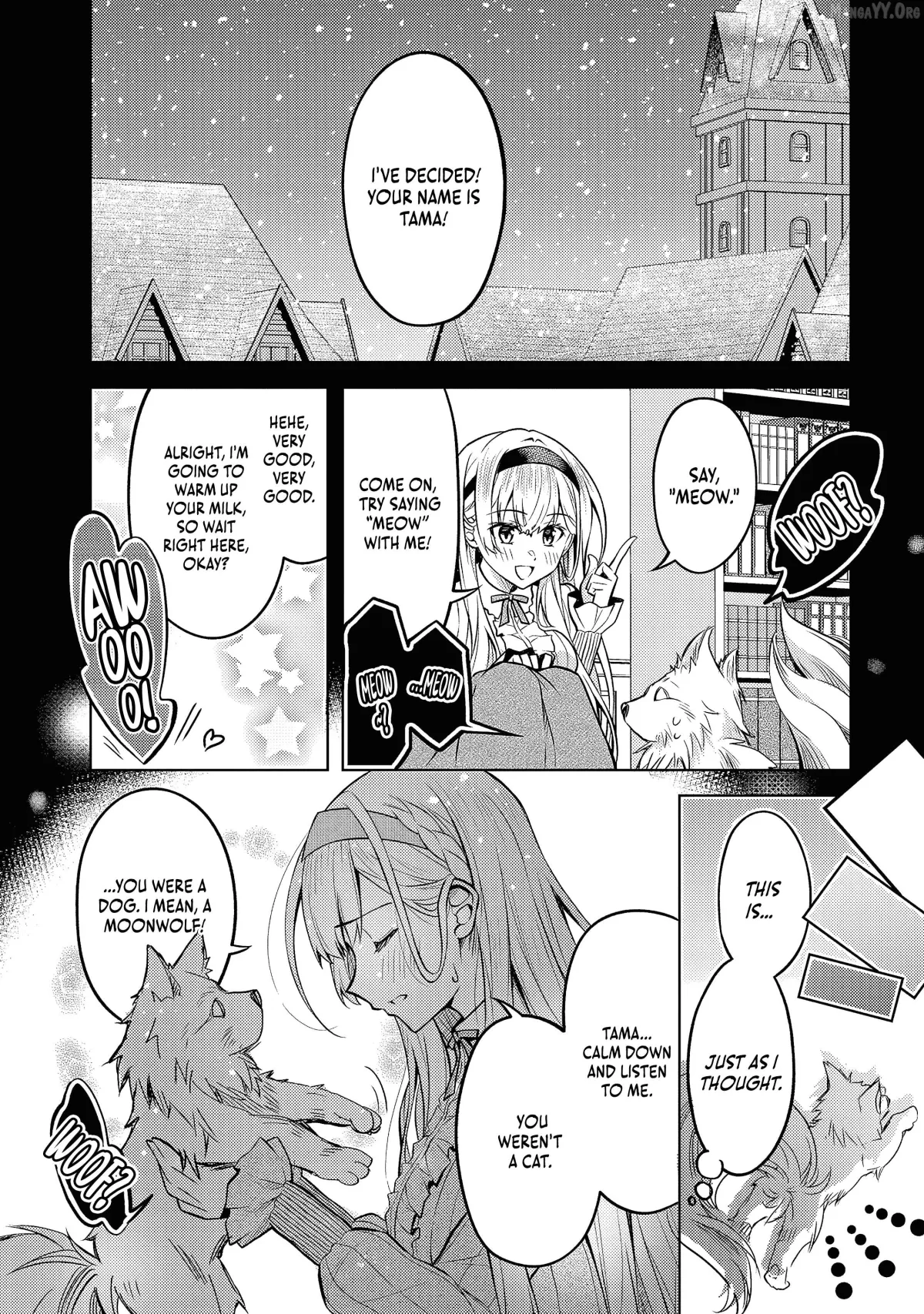 Da n Zai Sareta Ten Sei Seijō Wa, Aku Ya Kurei Ji Unomichiwoiku! Chapter 4.1 page 13 - 