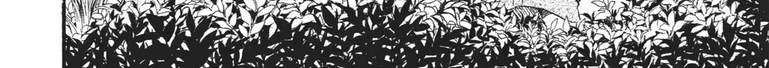 Daemons of the Shadow Realm Chapter 1.2 page 16 - 