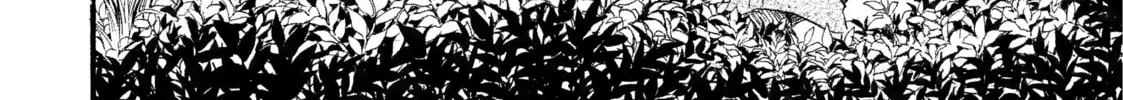 Daemons of the Shadow Realm Chapter 1 page 44 - 