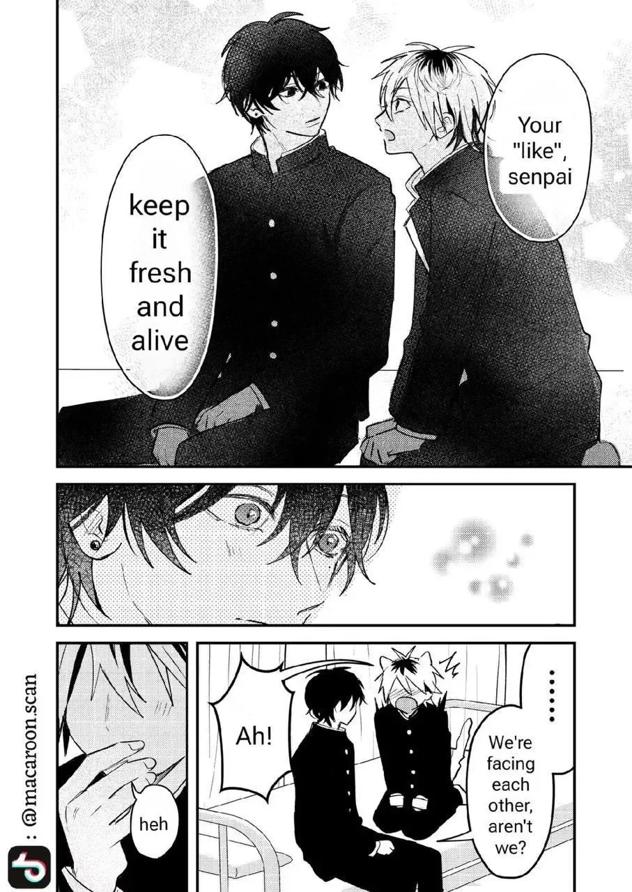 Dameo to Yabao Chapter 24 page 13 - 