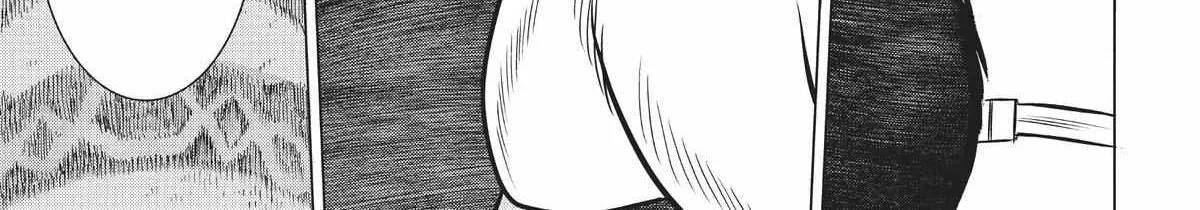 Dance in the Vampire Bund A.S.O. Chapter 39 page 36 - 
