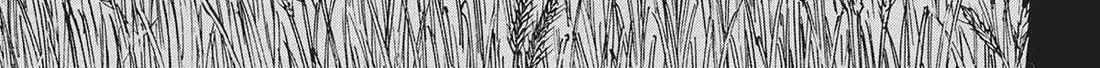 Dance in the Vampire Bund A.S.O. Chapter 53 page 3 - 
