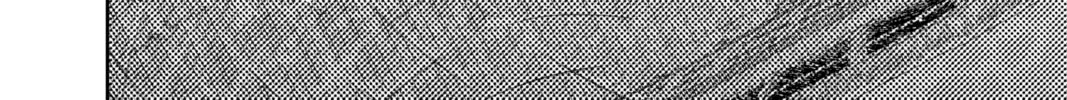 Dandadan Chapter 22 page 32 - 
