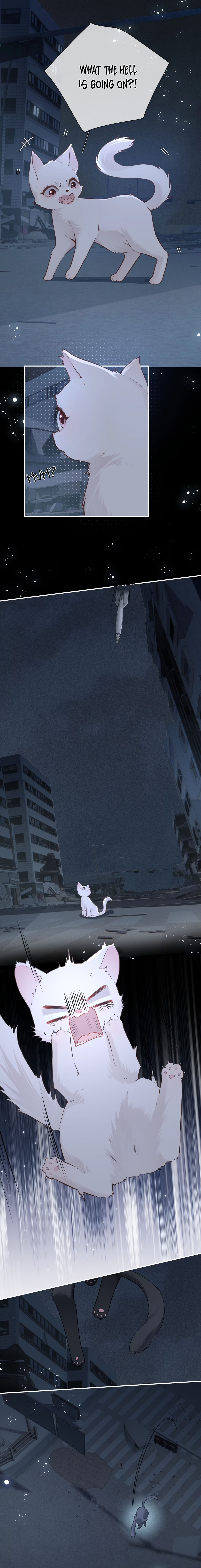 Dangerous Heartbeat Chapter 21 page 2 - 