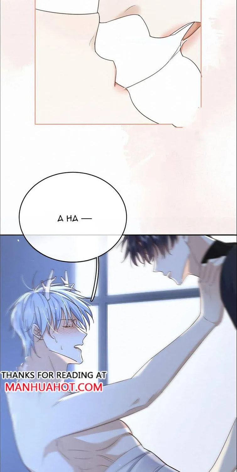 Dangerous Love Between Brothers Chapter 23 page 13 - 