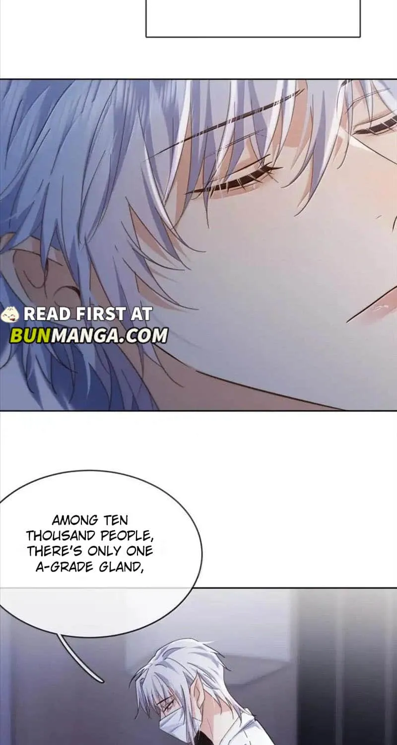 Dangerous Love Between Brothers Chapter 47 page 24 - 