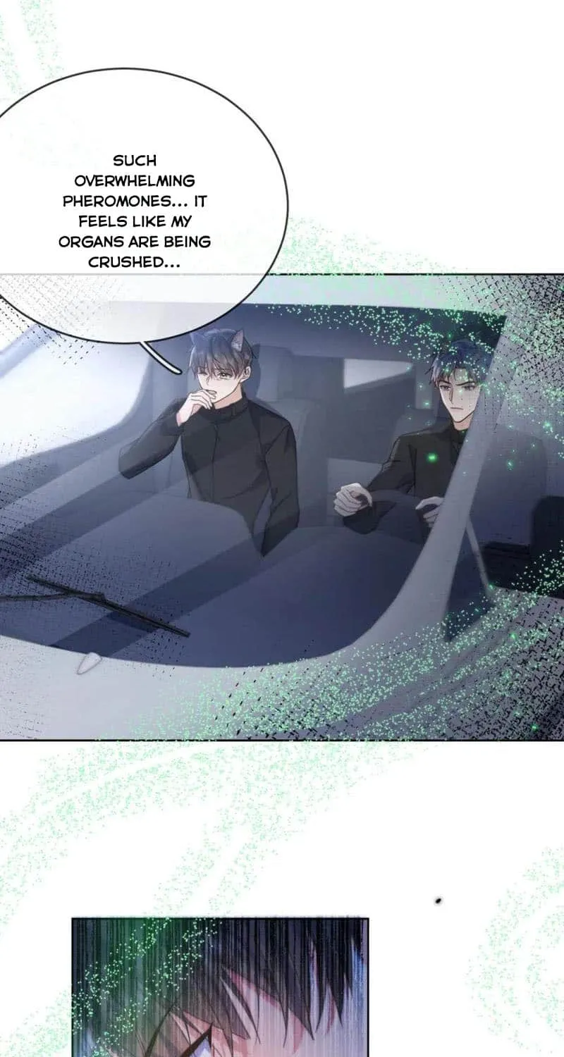 Dangerous Love Between Brothers Chapter 63 page 33 - 