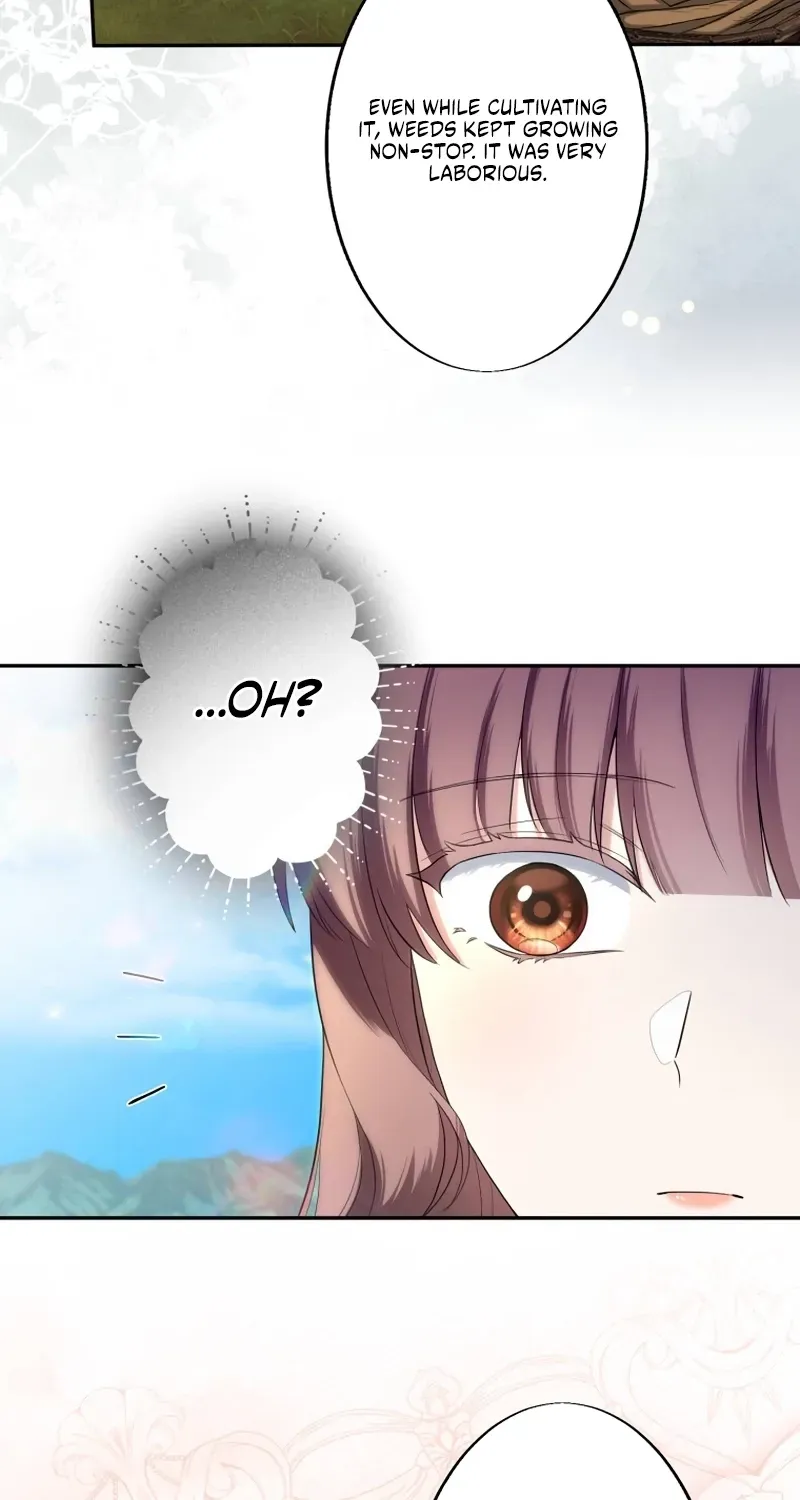 Danna-sama, Watashi ni Atarashii Otto o Kudasai! ~Gensaku ni Suugyou Shika Toujou Shinai Reiguu Tsuma wa Shuudouin ni Ikitakunai~ Chapter 14 page 46 - 