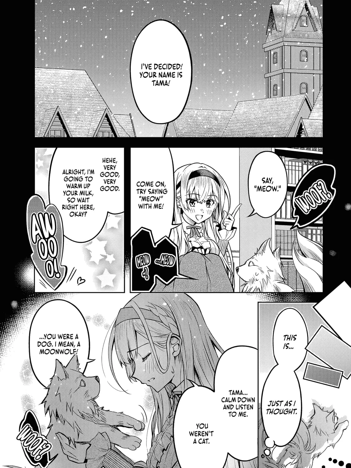 Danzai sareta Tensei Seijo wa, Akuyaku Reijou no Michi wo Iku! Chapter 4.1 page 24 - 
