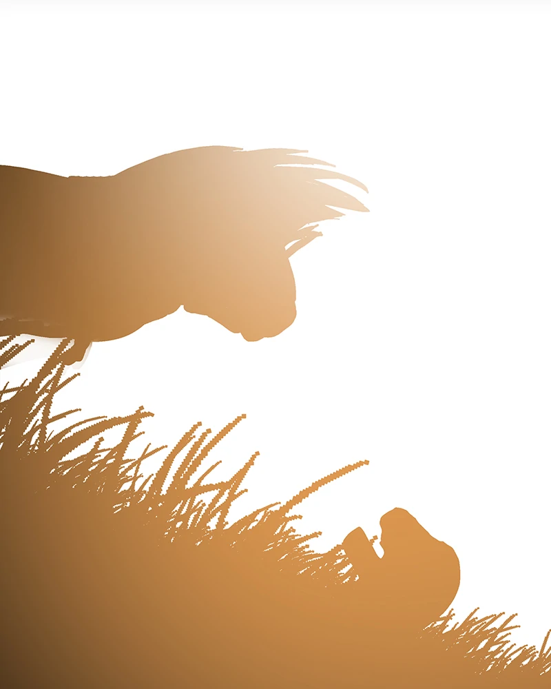 Darbi Chapter 111 page 3 - 