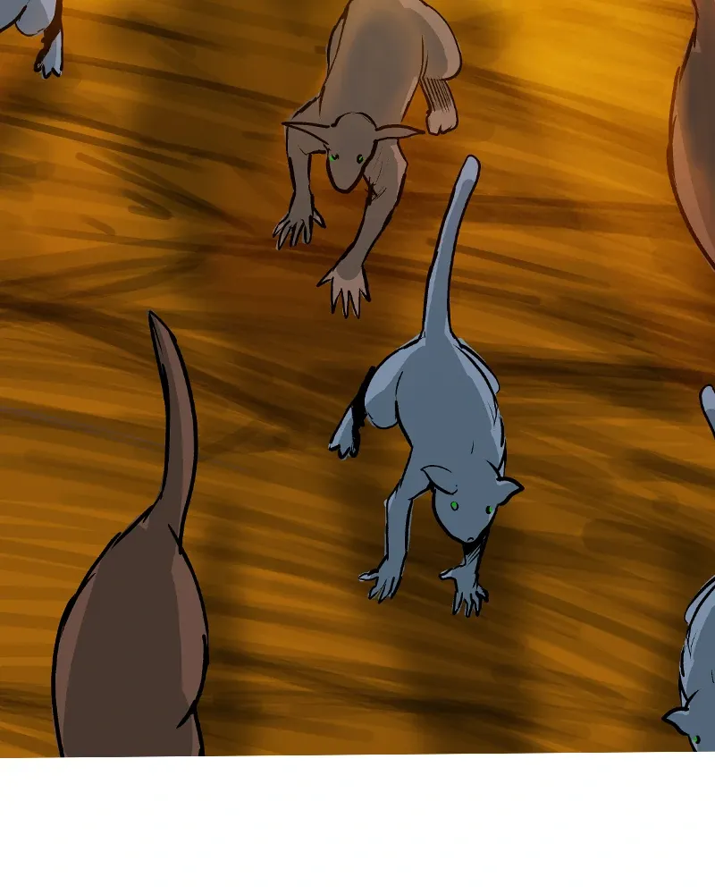 Darbi Chapter 132 page 50 - 