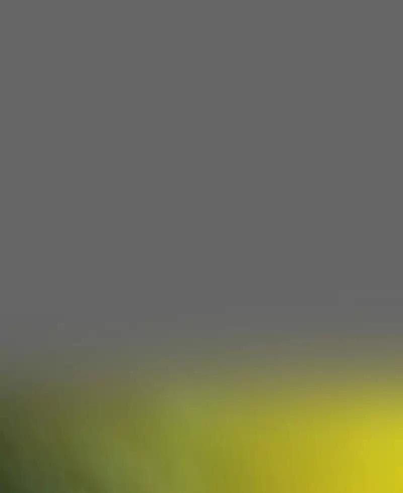 Darbi Chapter 38 page 32 - 