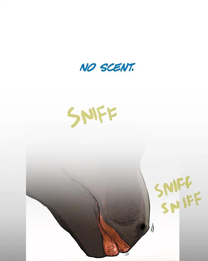 Darbi Chapter 91 page 49 - 