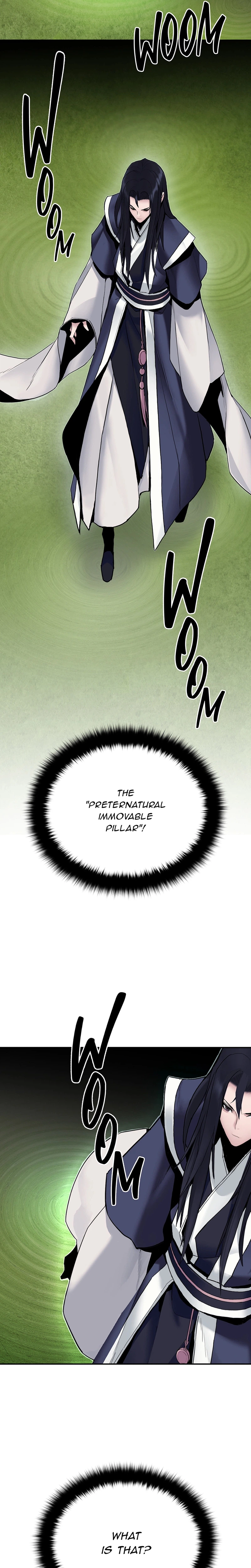 Dark and Light Martial Emperor Chapter 13 page 16 - 