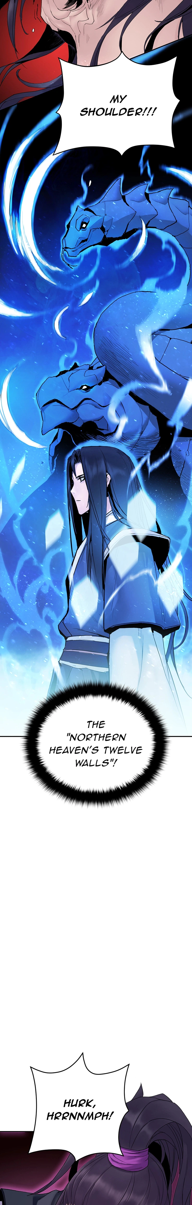 Dark and Light Martial Emperor Chapter 13 page 5 - 