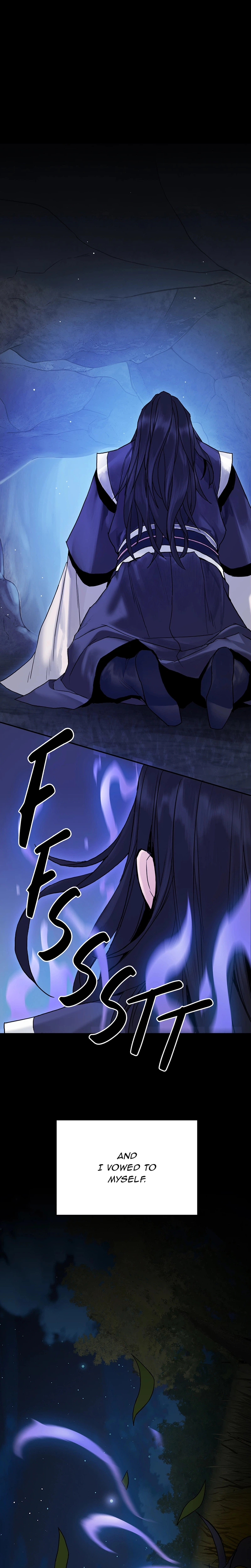 Dark and Light Martial Emperor Chapter 19 page 13 - 