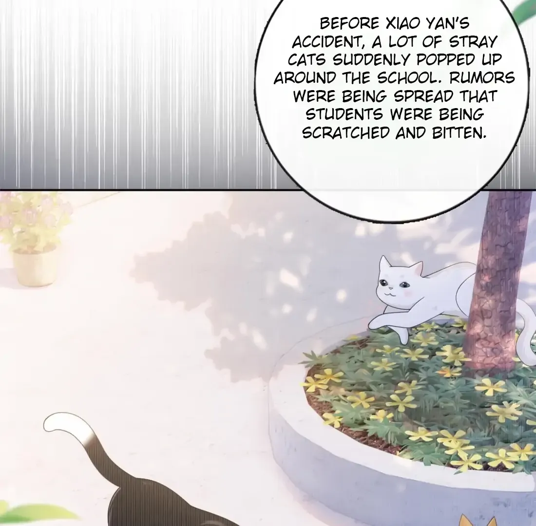 Dark Kiss Me Two Girls Chapter 24 page 41 - 