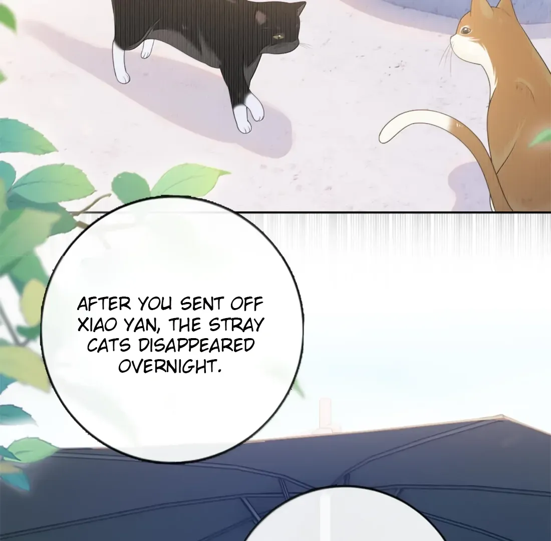 Dark Kiss Me Two Girls Chapter 24 page 42 - 