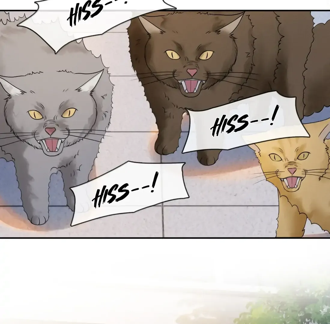 Dark Kiss Me Two Girls Chapter 33 page 25 - 
