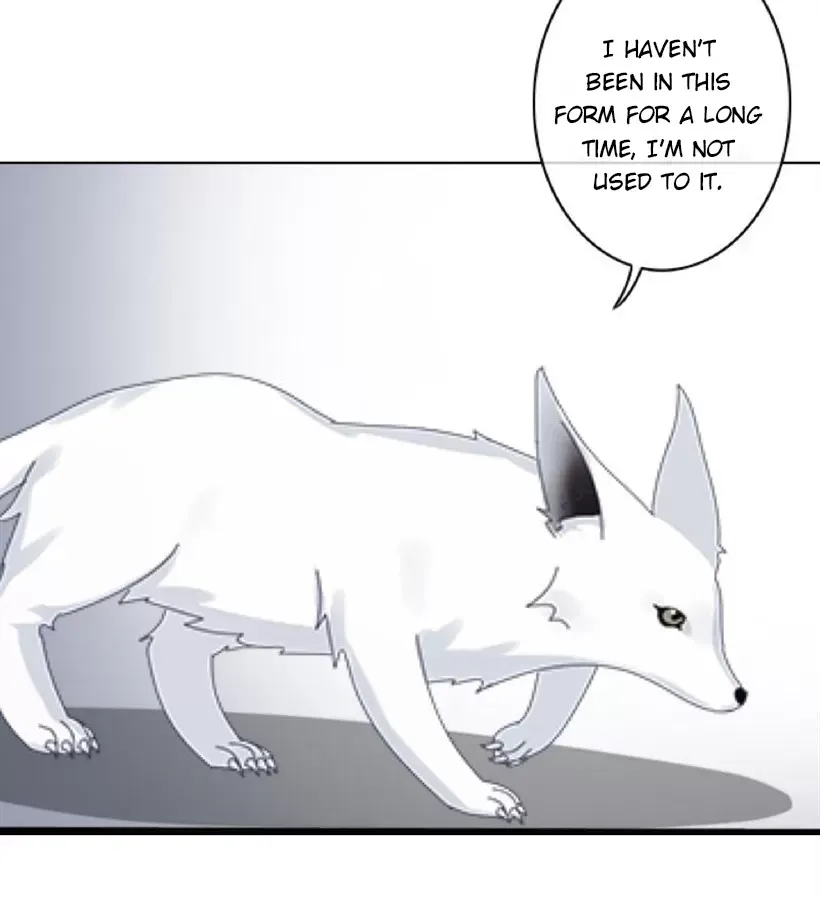 Dark Love of Nine Tailed Fox Chapter 6 page 41 - 